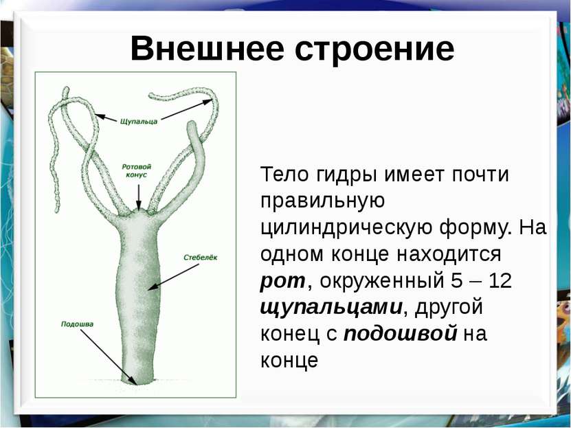 Рабочая blacksprut на сегодня клаб bs2web top